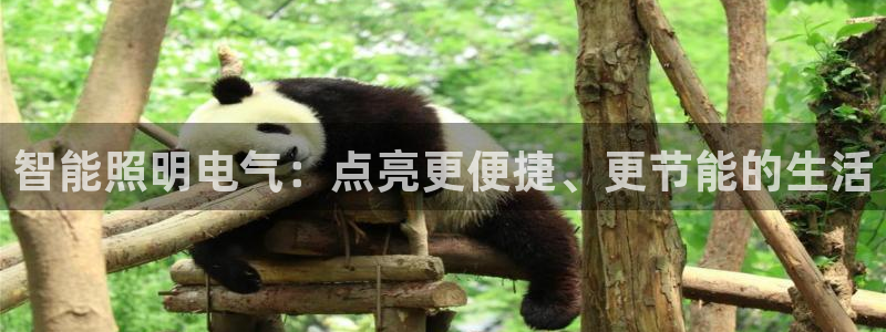 云顶国际停车费多少
