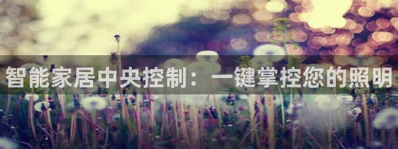 云顶国际服什么时候更新s119