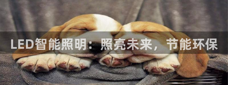 云顶国际提款不到账