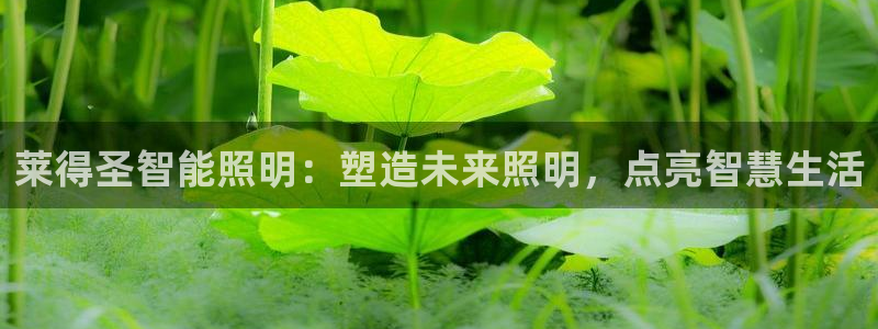 云顶集团中国分公司
