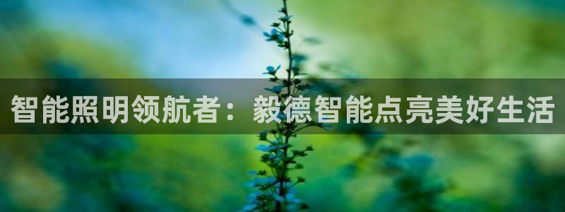 云顶yy