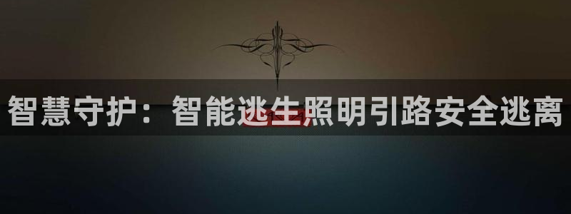 云顶国际是做什么的