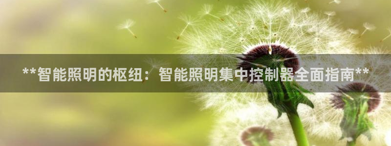 云顶国际电话号码