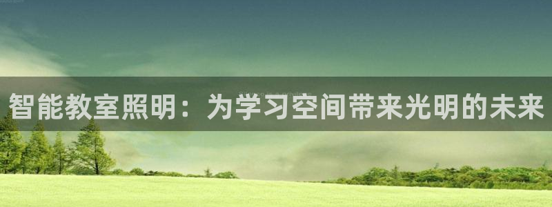 云顶国际集团发展有限公司国内项目总经理