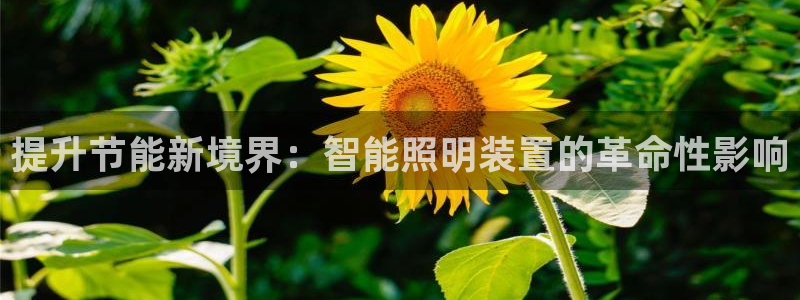 云顶国际提款不到账