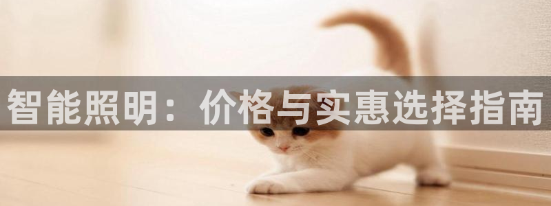 云顶国际服名字不可用
