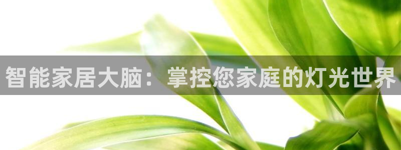 云顶国际酒店几星
