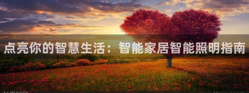 云顶集团最新官方网站入口