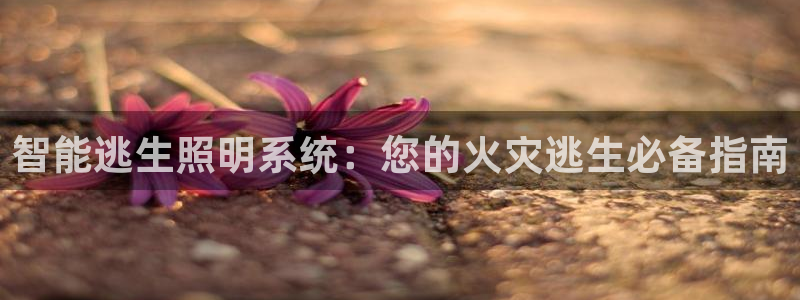 云顶国际官网app下载
