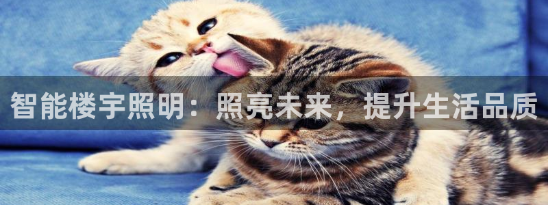 云顶国际公馆是公寓吗