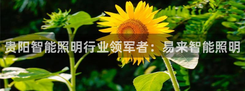 云顶国际真的能取出来吗?