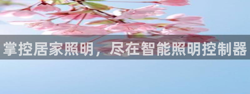 云顶国际服几个月不玩能不能登录