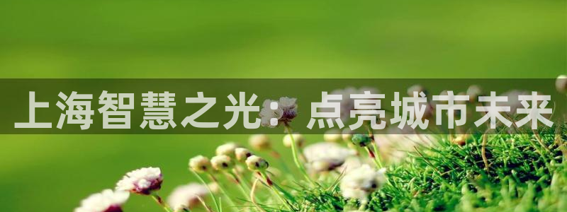 官网云顶电子游戏网站