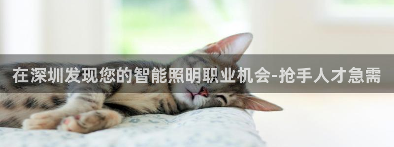 云顶国际app怎么样可靠吗