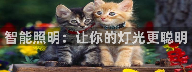 云顶国际旅行社电话