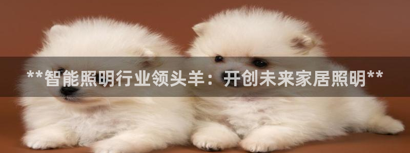 云顶国际宴会中心怎么样