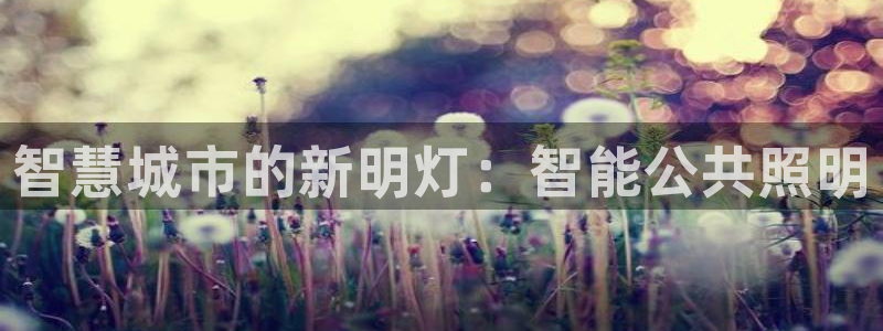 云顶集团app免费下载