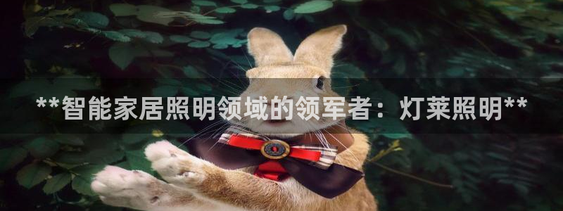 云顶国际服没有改名卡