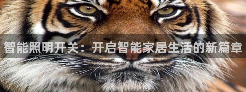 云顶国际培训中心地址
