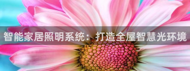 4188云顶集团下载