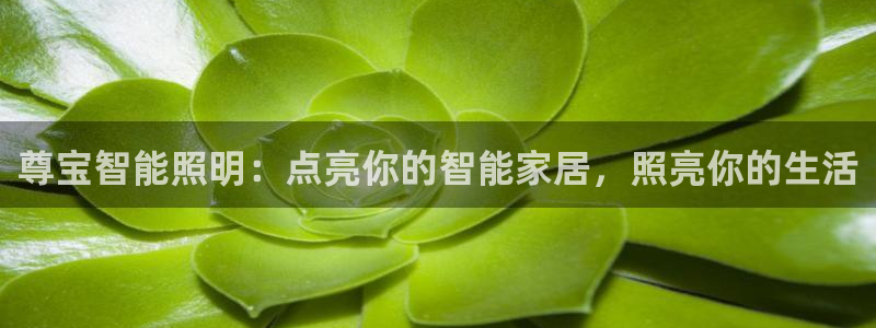 云顶集团3118
