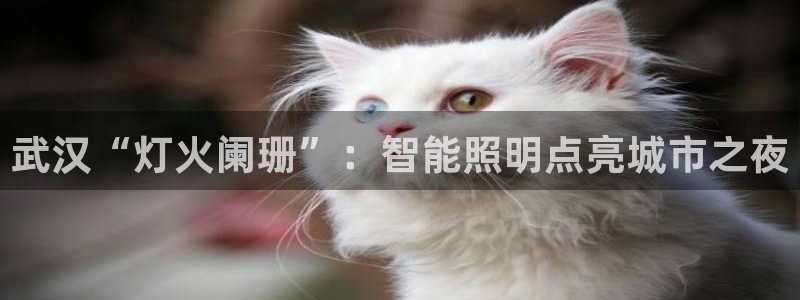 云顶国际提款不到账什么原因