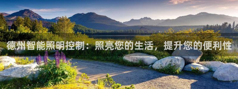云顶国际服充值
