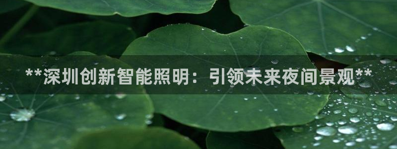 云顶国际nba智库