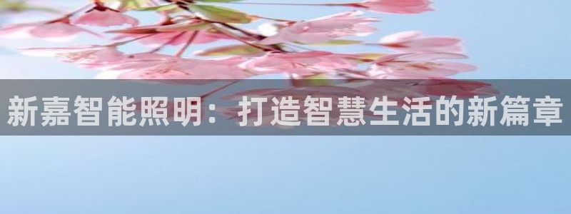 云顶国际中国官方网站下载