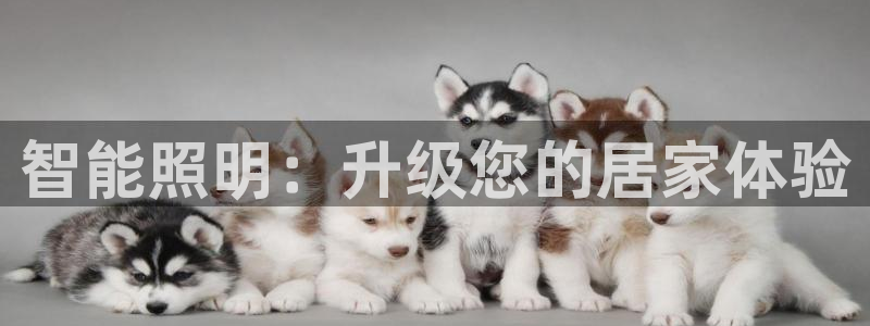 云顶国际高中学费多少钱一年