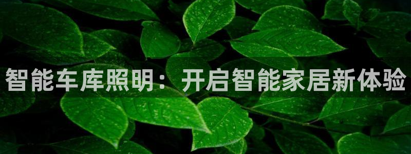 云顶国际游戏平台排行榜