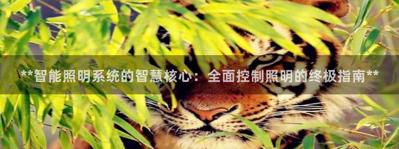 手游云顶国际服更新