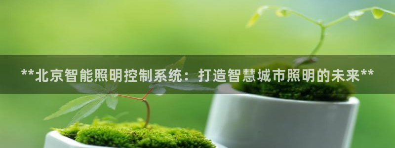 成山路800号(云顶国际商业广场a座101)电话