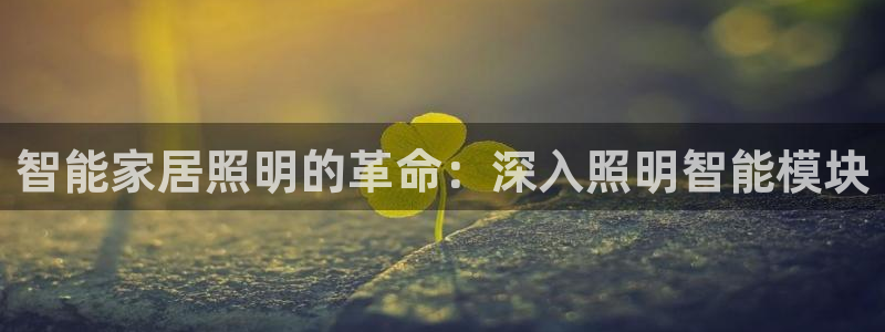 云顶12301网站