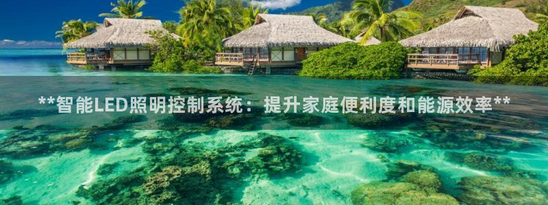云顶国际大酒店老板
