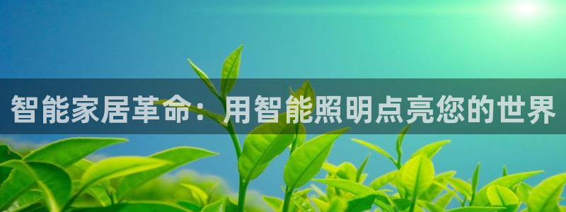 云顶国际服什么时候更新赛季