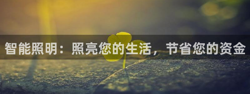 云顶国际城手机网址查询