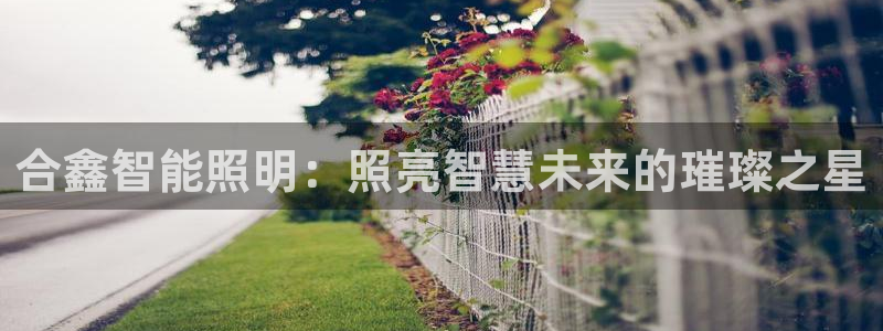 云顶集团在中国上市了吗