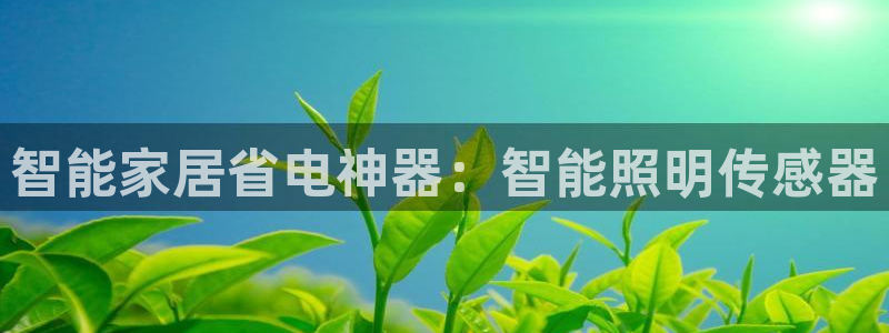 云顶国际服哪个服人多