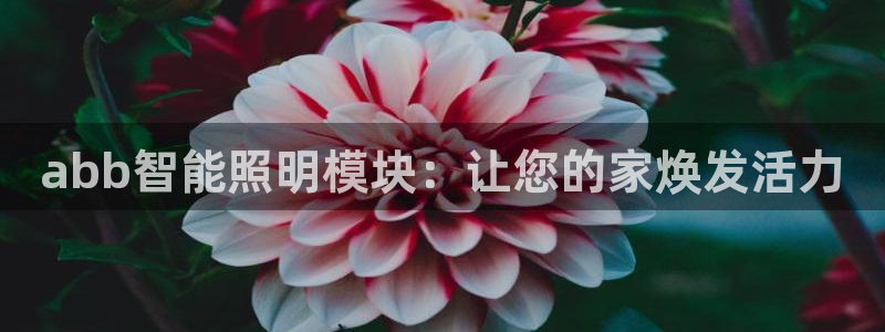 云顶国际APP