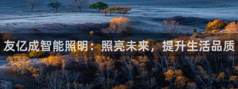 云顶国际是做什么的