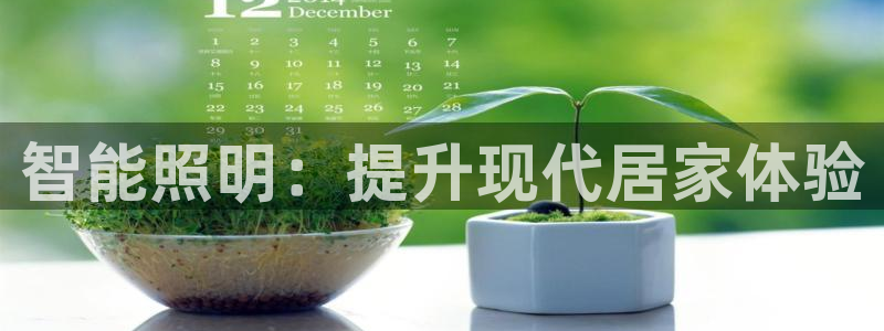 云顶集团老总简介