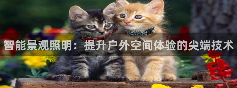 云顶官网·com