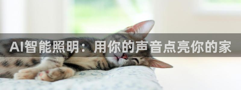 云顶国际部