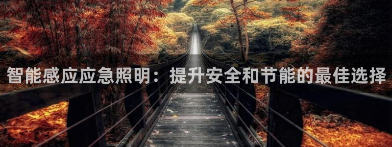 云顶国际服维护时间