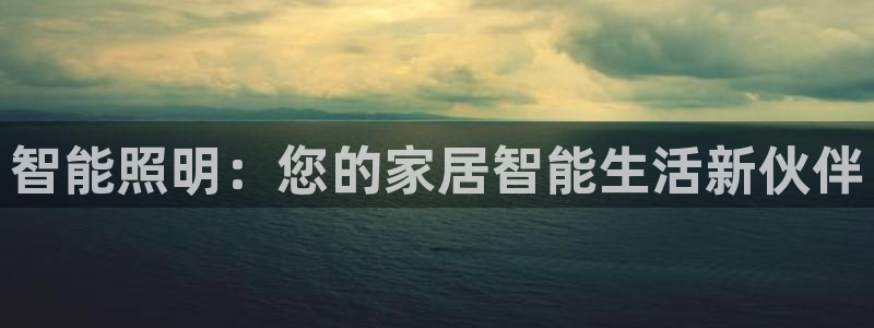 官网云顶电子游戏网站