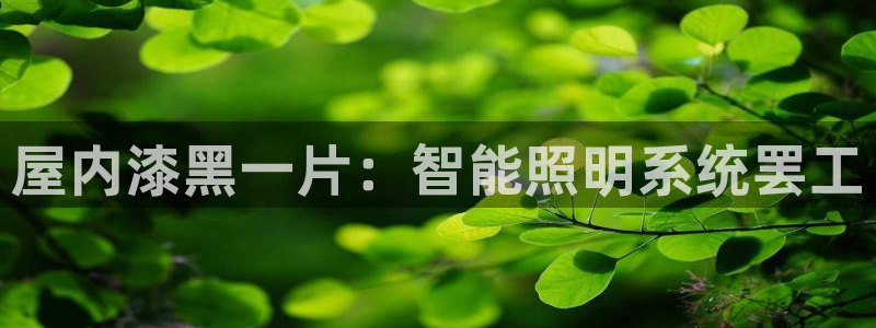 云顶国际体育官方网站下载