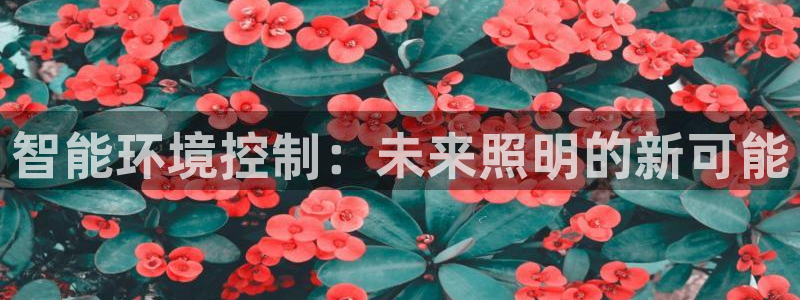 yd12300云顶线路