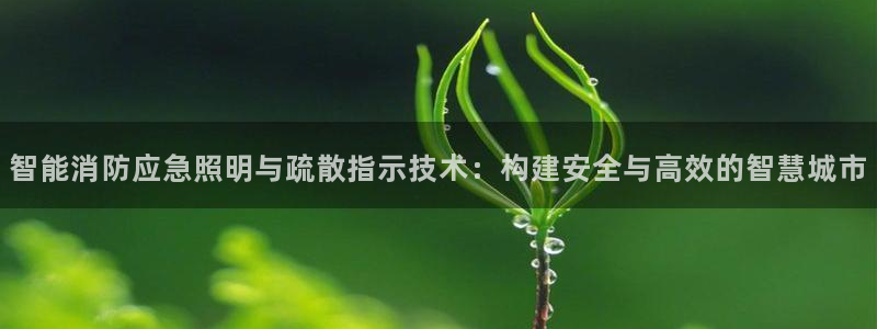 云顶集团董事长林东简历照片