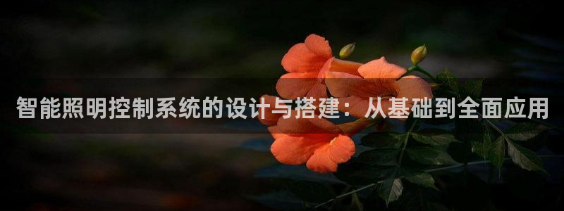 云顶国际app免费下载安装
